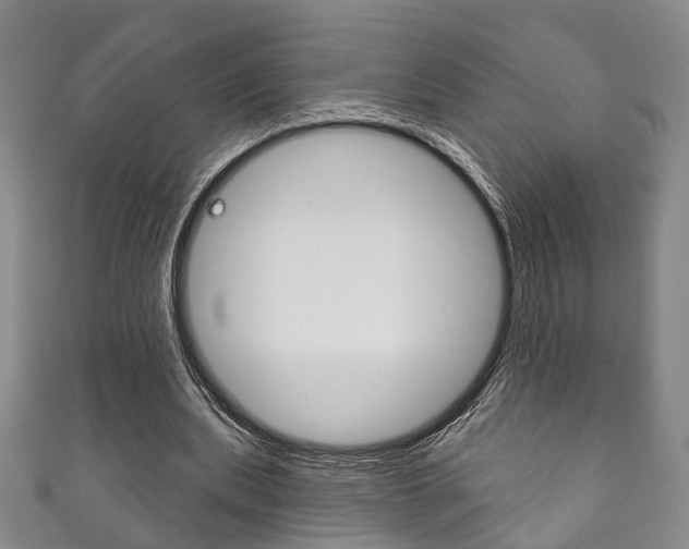 X0000111870439200907231154