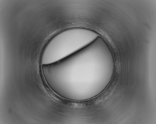 X0000111870442200907231154