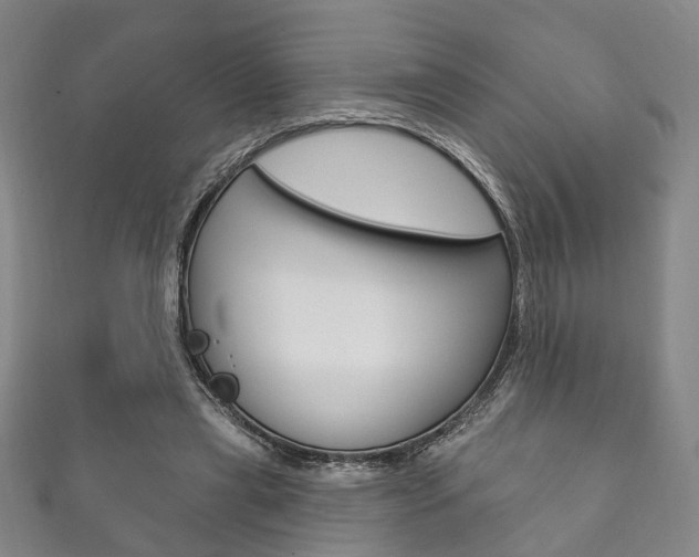 X0000111870445200907231154