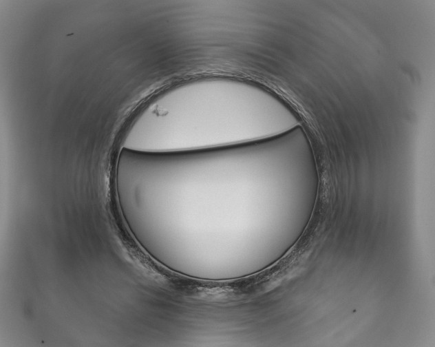 X0000111870446200907231154