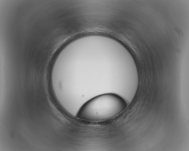 X0000111870448200907231154