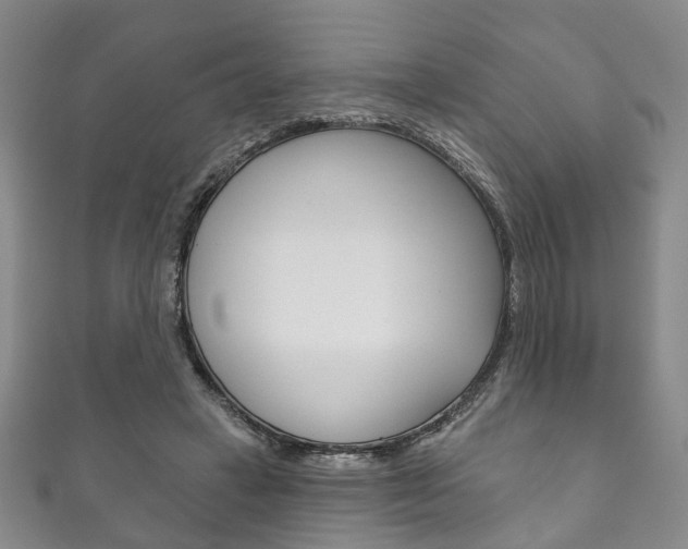 X0000111870449200907231154
