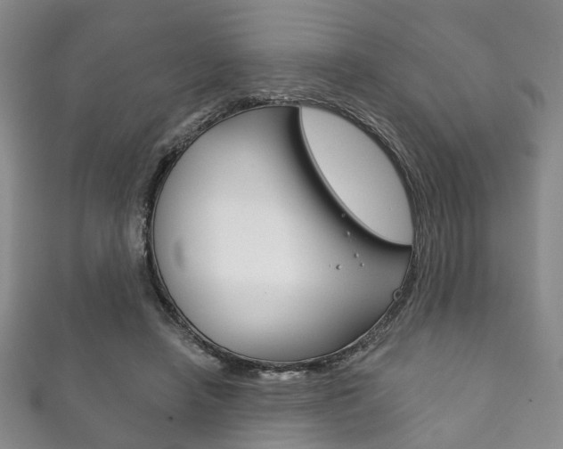 X0000111870450200907231154