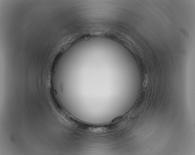 X0000111870452200907231155
