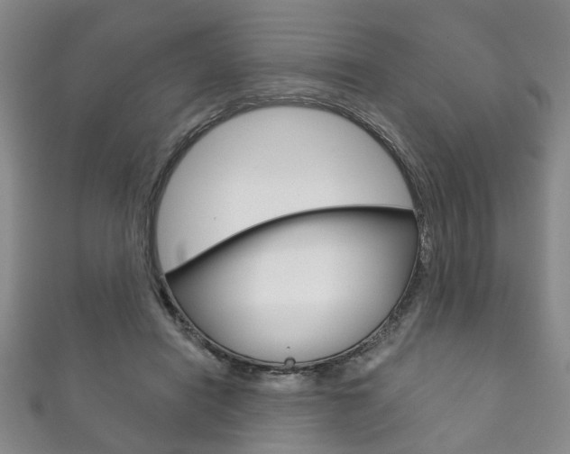 X0000111870454200907231155