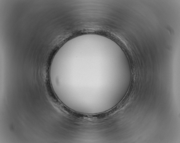 X0000111870455200907231155