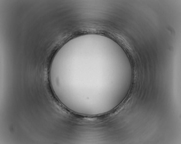 X0000111870457200907231155