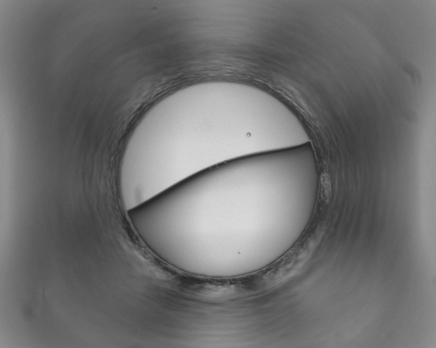 X0000111870458200907231155