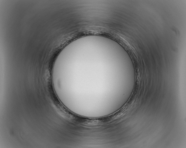 X0000111870459200907231155