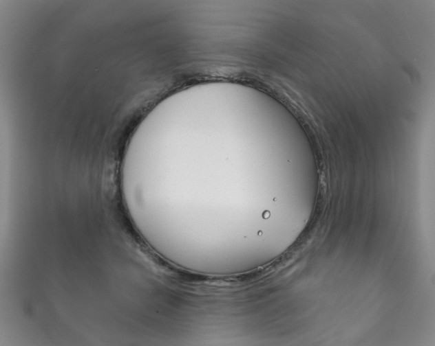 X0000111870462200907231155