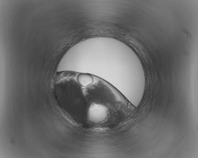 X0000111870465200907231155