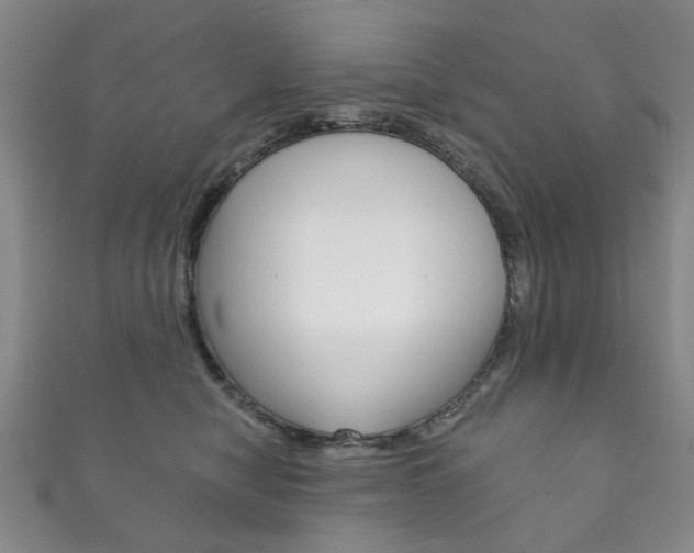 X0000111870470200907231155