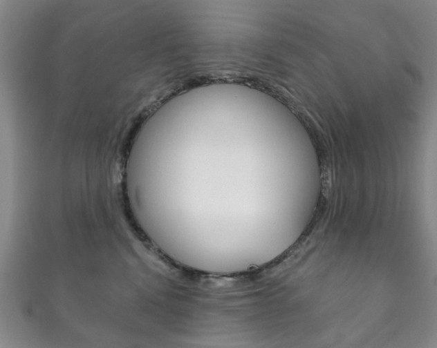 X0000111870472200907231155