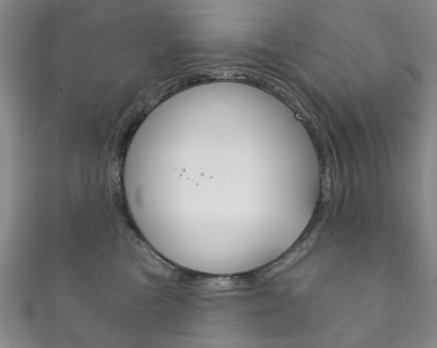 X0000111870473200907231155