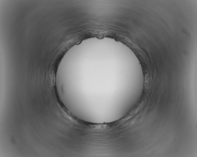 X0000111870474200907231155