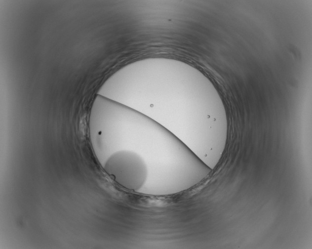 X0000111870475200907231155