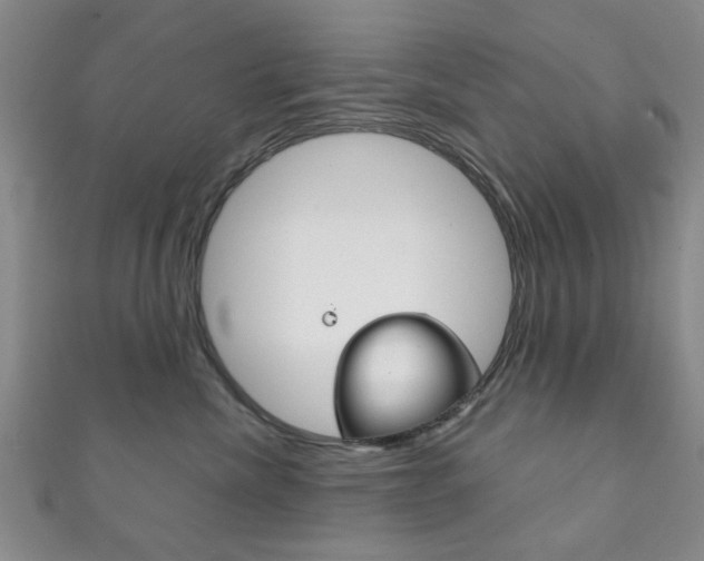 X0000111870476200907231155