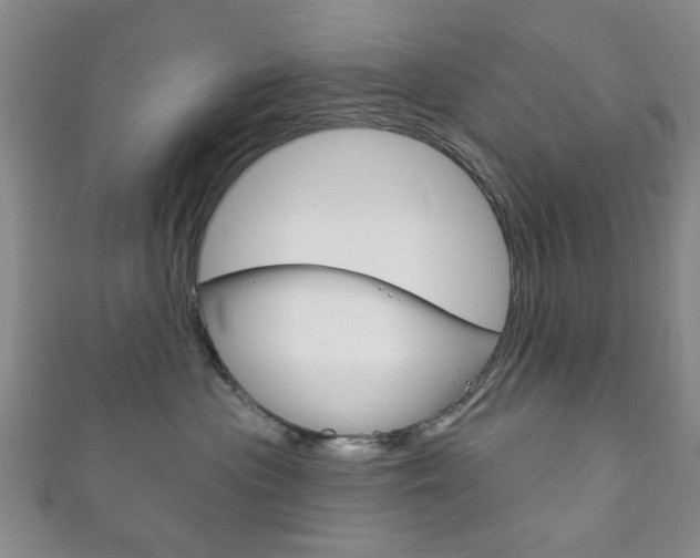 X0000111870477200907231155