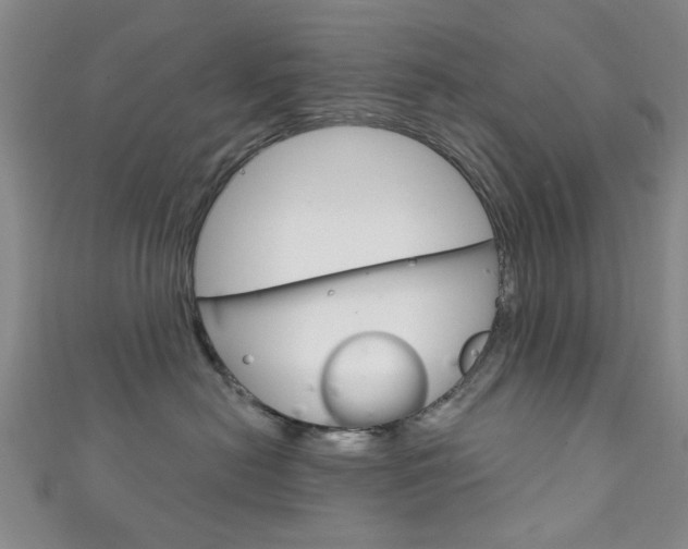 X0000111870478200907231155