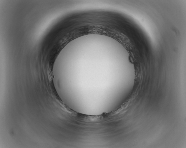 X0000111870479200907231155