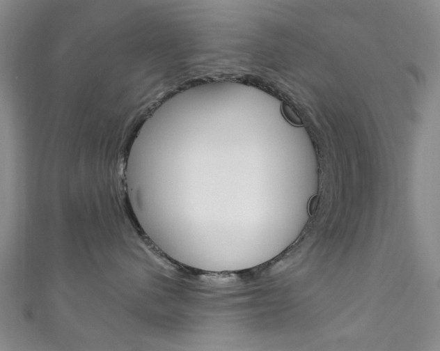 X0000111870480200907231155