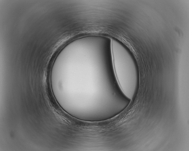 X0000111870483200907231154