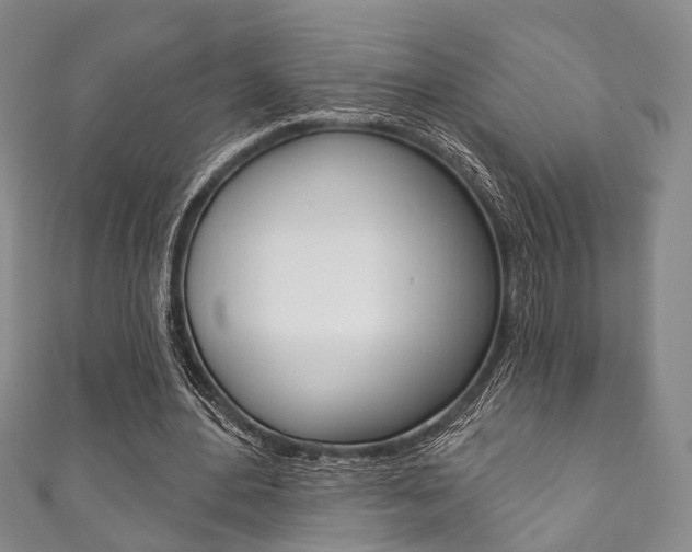 X0000111870484200907231154