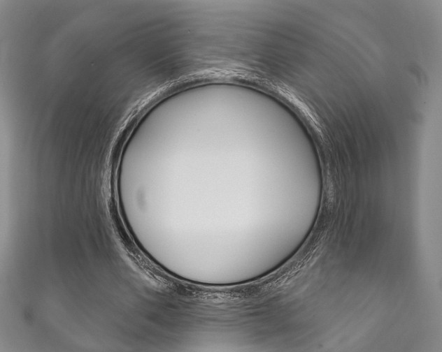 X0000111870486200907231154
