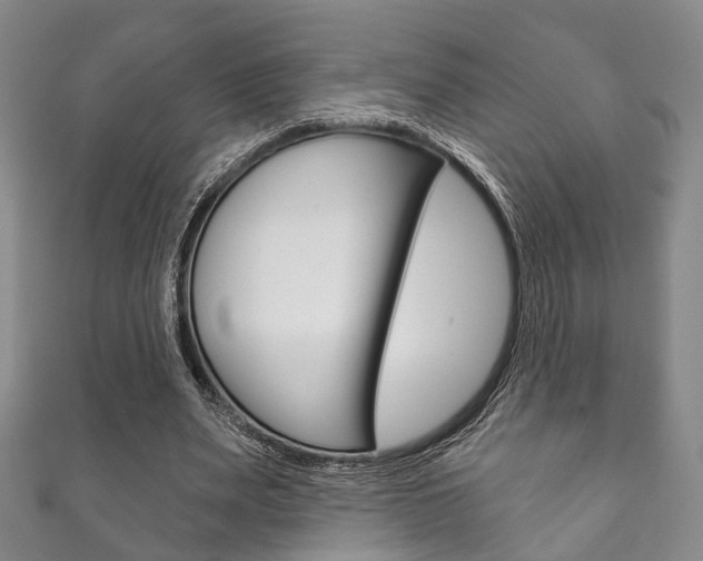 X0000111870487200907231154