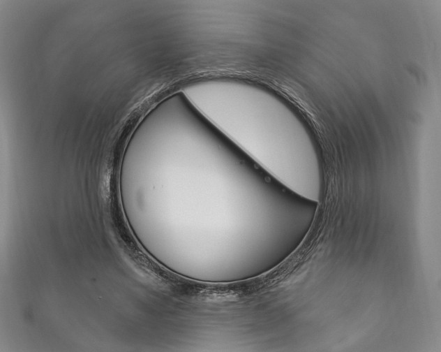 X0000111870491200907231154