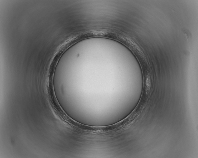 X0000111870492200907231154