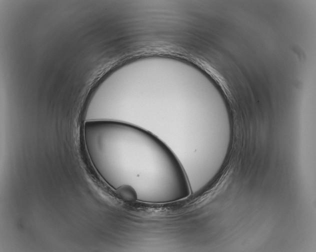 X0000111870493200907231154