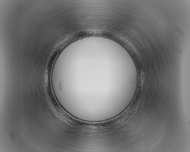 X0000111870494200907231154