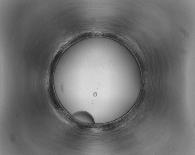 X0000111870496200907231154