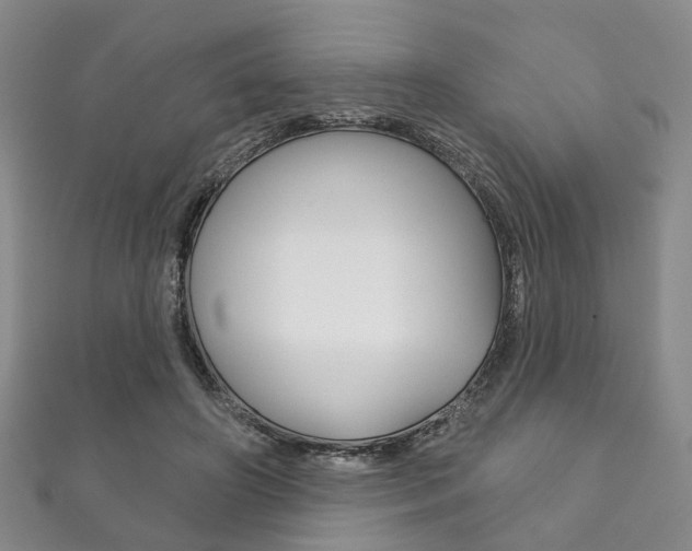 X0000111870498200907231154