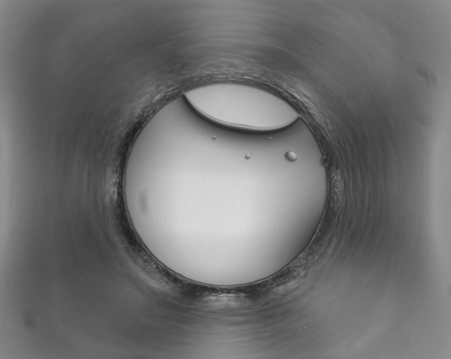 X0000111870499200907231154