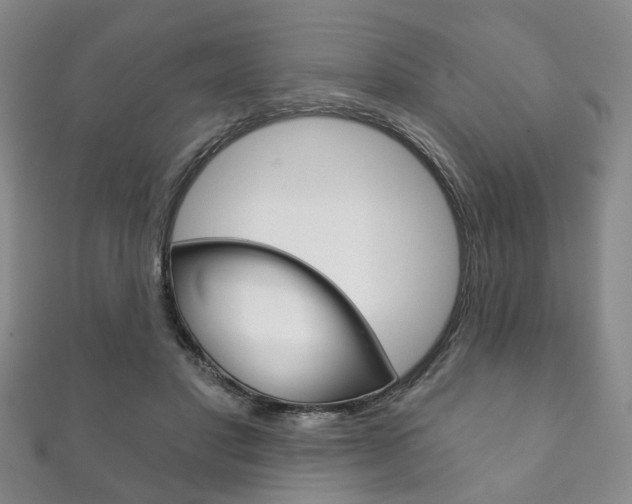 X0000111870501200907231154