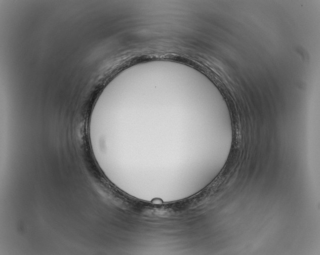 X0000111870503200907231154