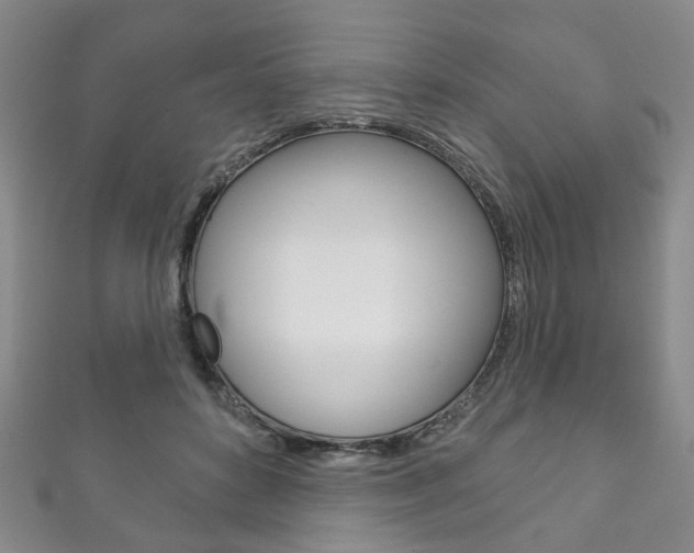 X0000111870504200907231154