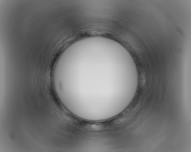 X0000111870506200907231154