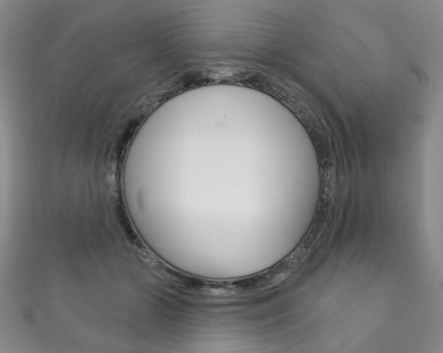 X0000111870510200907231154