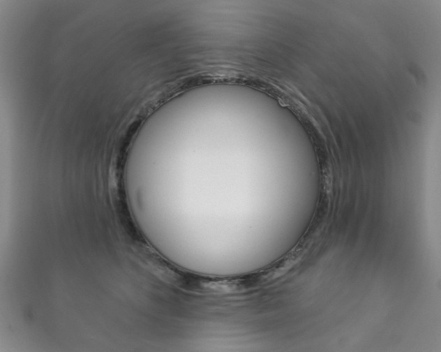 X0000111870516200907231154