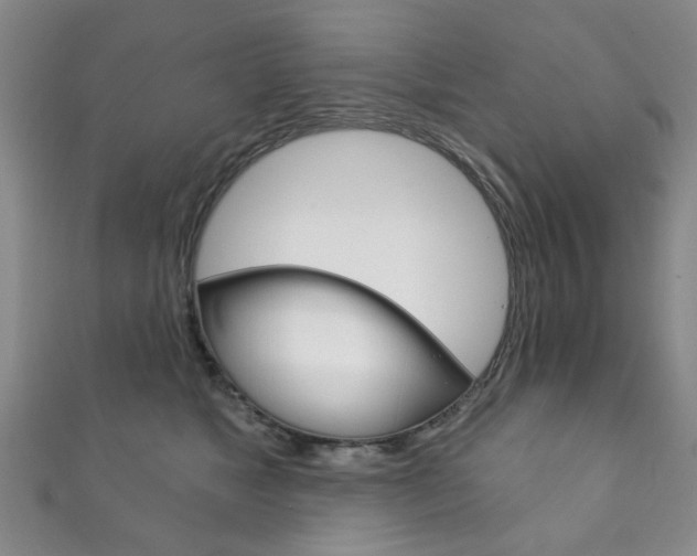 X0000111870517200907231154