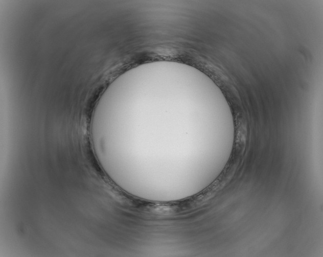X0000111870518200907231154