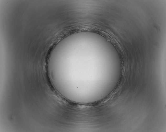 X0000111870520200907231154
