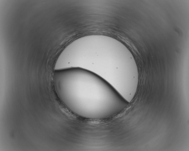 X0000111870521200907231154