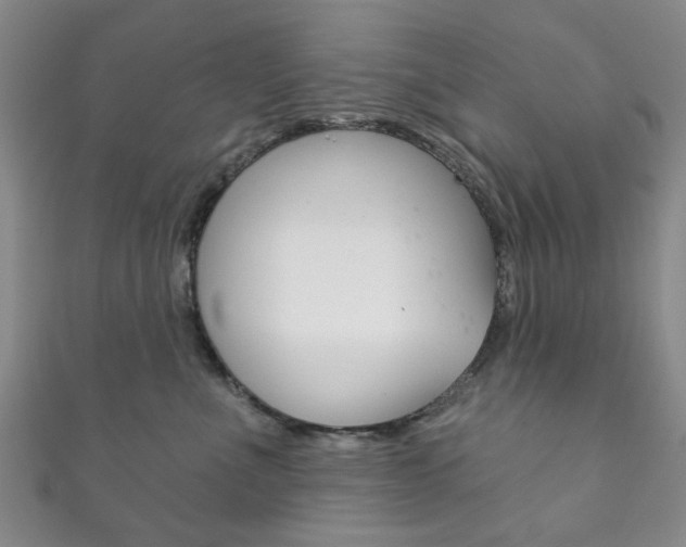 X0000111870523200907231154