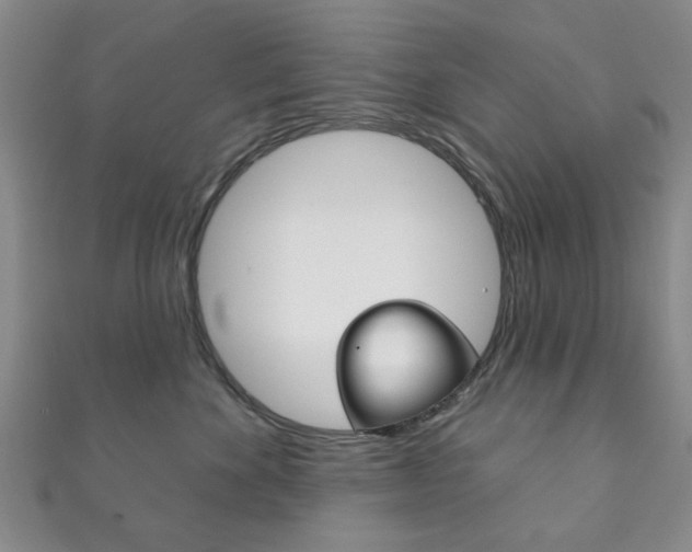 X0000111870524200907231154