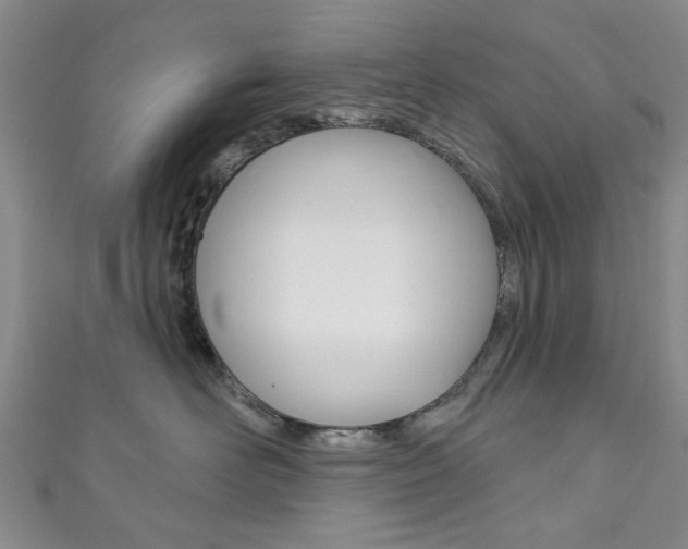 X0000111870526200907231154
