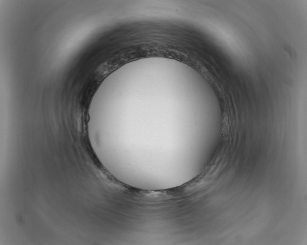 X0000111870527200907231154